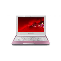 Packard bell DOT_SE/P-301SP (LU.BT70D.007)